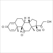 Solarbio SP5520 泼尼松 标准品