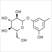 Solarbio SS8850 Sakakin 苔黑酚葡萄糖苷 标准品