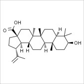 Solarbio SB8200 Betulinic acid 白桦脂酸 标准品
