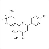 Solarbio SL9300 樟叶木防己碱 标准品
