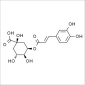 Solarbio SN8080 Neochlorogenic acid 新绿原酸 标准品