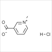 Solarbio ST8270 葫芦巴碱盐酸盐 标准品