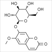 Solarbio SS8290 东莨菪苷 标准品