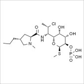Solarbio SC9110 克林霉素磷酸酯 标准品
