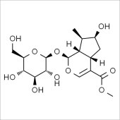 Solarbio SL8260 Loganin 马钱苷 标准品