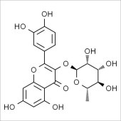 Solarbio SQ8050 Quercitrin 槲皮苷 标准品