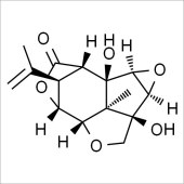 Solarbio SC5340 马桑宁 标准品