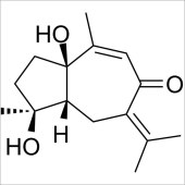 Solarbio SA6180 莪术二醇 标准品