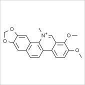 Solarbio SC8200 白屈菜红碱 标准品