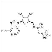 Solarbio SA5860 腺苷-5'-二磷酸 标准品