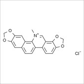 Solarbio SS9380 氯化血根碱 标准品