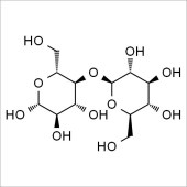 Solarbio SC5140 D-纤维二糖 标准品