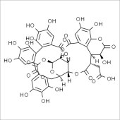 Solarbio SC5410 诃子鞣酸 标准品