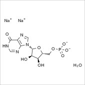 Solarbio SI8360 5’-IMP，2Na 5-肌苷一磷酸二钠盐 标准品