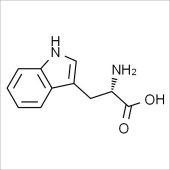 Solarbio ST8320 L-色氨酸 标准品