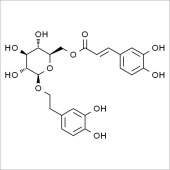 Solarbio SC8900 木通苯乙醇苷B 标准品