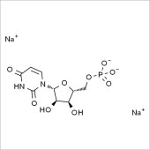 Solarbio SU8150 尿苷单磷酸二钠盐 标准品