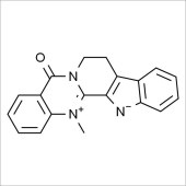 Solarbio SD8640 去氢吴茱萸碱 标准品