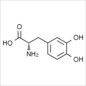 Solarbio SL8050 Levodopa 左旋多巴 标准品