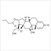 Solarbio SB8990 布地奈德 标准品