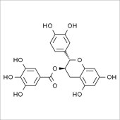 Solarbio SC9070 儿茶素没食子酸酯 标准品