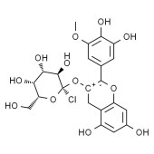 Solarbio SP9690 矮牵牛素-3-O-半乳糖苷 标准品