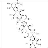 Solarbio SM4560 D-甘露糖醛酸六糖 标准品