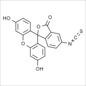 Solarbio SDF7050 荧光素-5-异氰酸酯 标准品