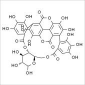 Solarbio SP8710 石榴皮鞣素 标准品