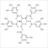Solarbio SP8170 1,2,3,4,6-O-没食子酰葡萄糖 标准品