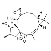 Solarbio SE8450 环氧续随子醇 标准品