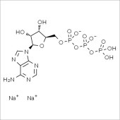 Solarbio SA9490 ATPNa2 三磷酸腺苷二钠 标准品
