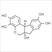 Solarbio SH8390 苏木素 标准品