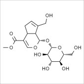 Solarbio SG8100 栀子苷 标准品