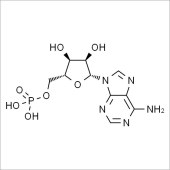 Solarbio SA9610 5'-腺嘌呤核苷酸 标准品