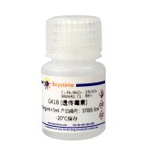 Beyotime ST081-5ml G418 (遗传霉素)