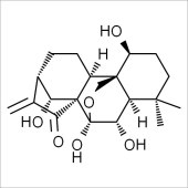 Solarbio SO8070 Oridonin 冬凌草甲素 标准品