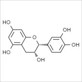 Solarbio SE8100 表儿茶素 标准品