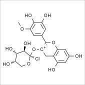 Solarbio SP9700 矮牵牛素阿拉伯糖苷 标准品