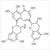 Solarbio ST8150 茶黄素 标准品