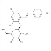 Solarbio ST8110 二苯乙烯苷 标准品