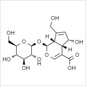 Solarbio SD8550 去乙酰车叶草苷酸 标准品