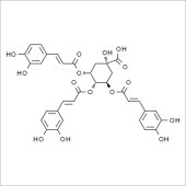 Solarbio ST8970 3,4,5-三咖啡酰奎宁酸 标准品