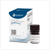 Biosharp BL530A 5×SDS-PAGE蛋白上样缓冲液（无气味）