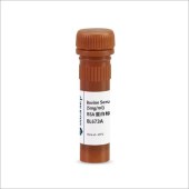 Biosharp BL673A BSA 蛋白标准品（5mg/ml）