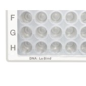 Eppendorf 0030603303 96孔/V-PP微孔板, DNA低吸附,无色孔井, 白色边框, PCR洁净级, 80块 (5x16块)