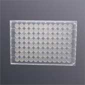 LABSELECT CTF-96-PVDFB-45 96孔微孔过滤板,疏水PVDF膜, 0.45μm