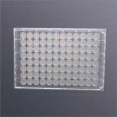 LABSELECT CTF-96-CA-22 96孔微孔过滤板,CA膜,0.22μm