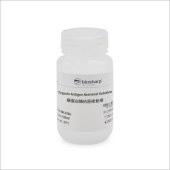 Biosharp BL333A 胰蛋白酶抗原修复液（即用型）