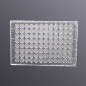 LABSELECT CTF-96-PTFEL-45 96孔微孔过滤板,亲水PTFE膜, 0.45μm